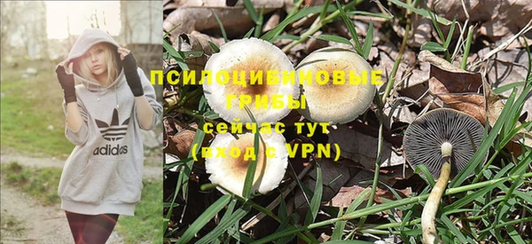 первитин Верхний Тагил